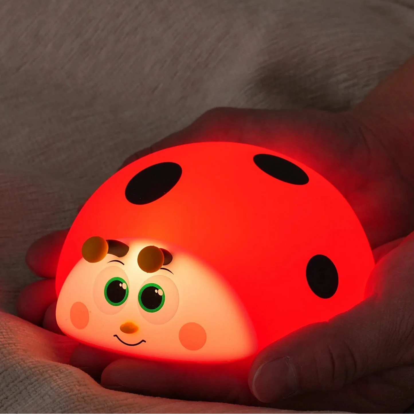 Veilleuse Coccinelle
